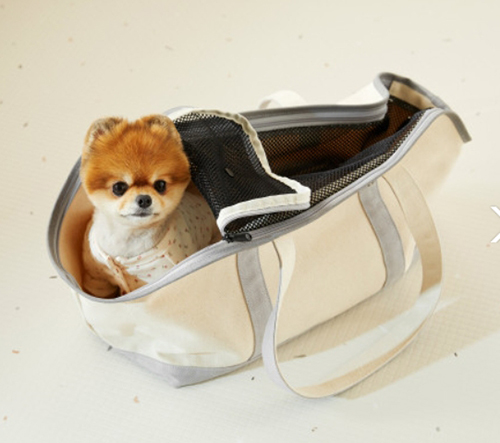 f5575082fb28762f15341161d7f2e092_1584329322_4817.jpg f5575082fb28762f15341161d7f2e092_1584329322_4817.jpg