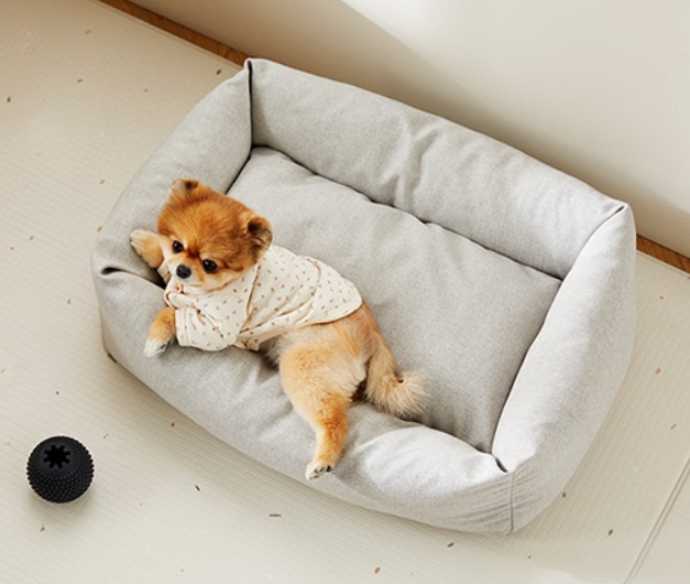 e8786dc8245690f2b3d83b4d09e85b4e_1609728653_3631.jpg e8786dc8245690f2b3d83b4d09e85b4e_1609728653_3631.jpg